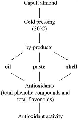 Valorization of Almond (Prunus serotina) by Obtaining Bioactive Compounds